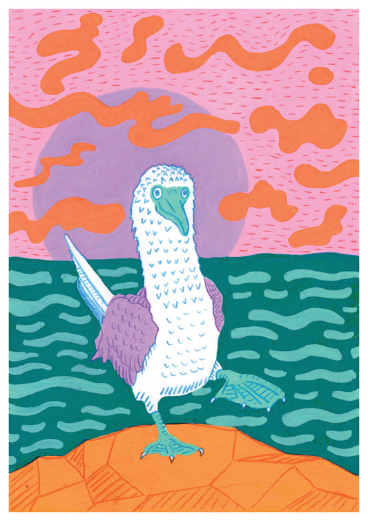 Bernie the Booby - Print