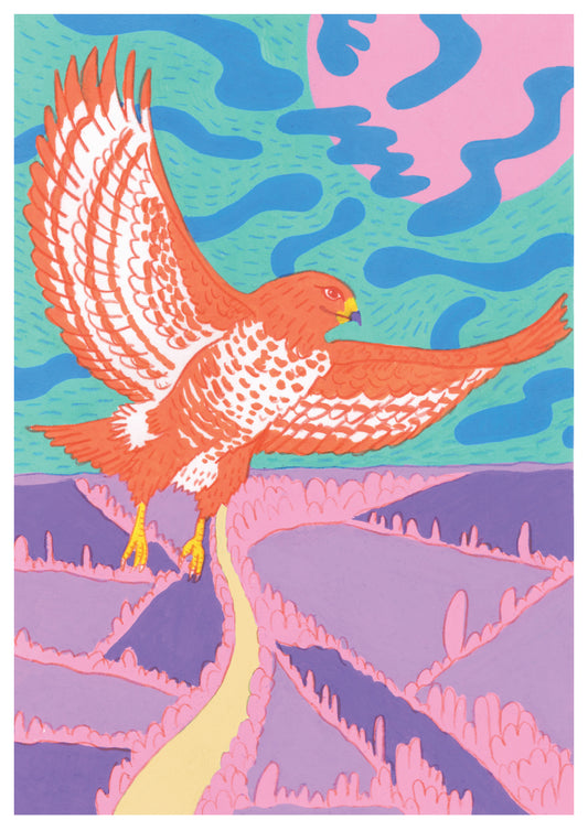 Kenny the Buzzard - Print