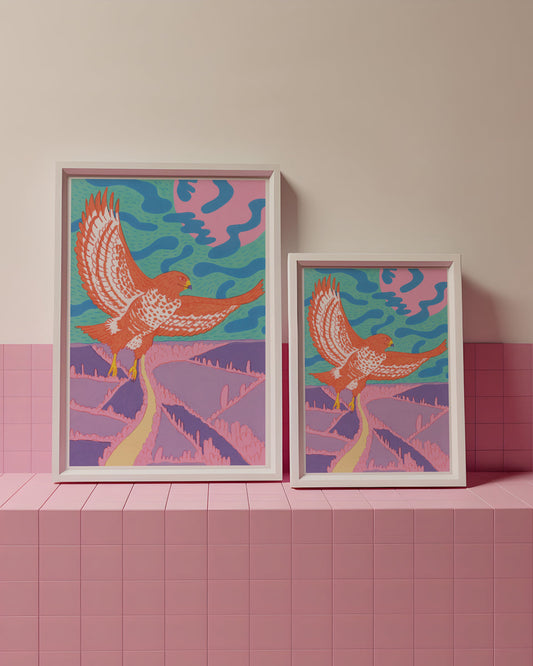 Two colorful framed artworks of birds on a pink tiled surface and wall.