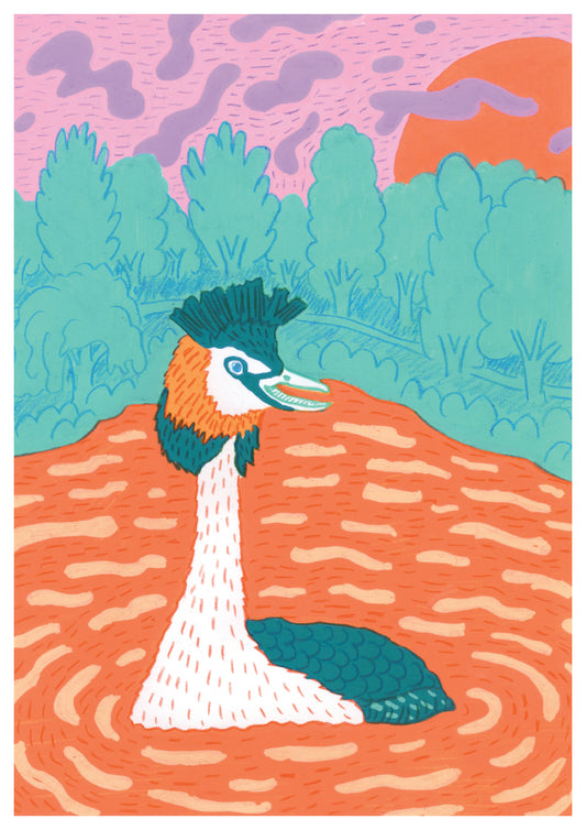 Francesca the Grebe - Print