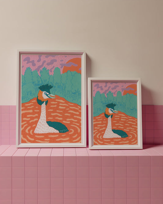 Two framed artworks of a great crested Grebe in a natural setting on a pink tiled shelf.