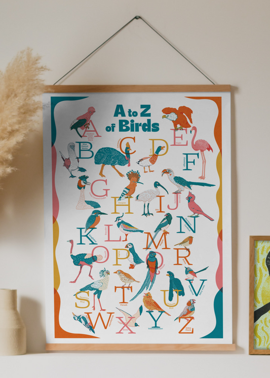 Framed poster with alphabet and bird illustrations on a wall
