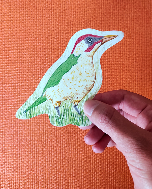 Hand holding a colorful bird sticker against an orange background