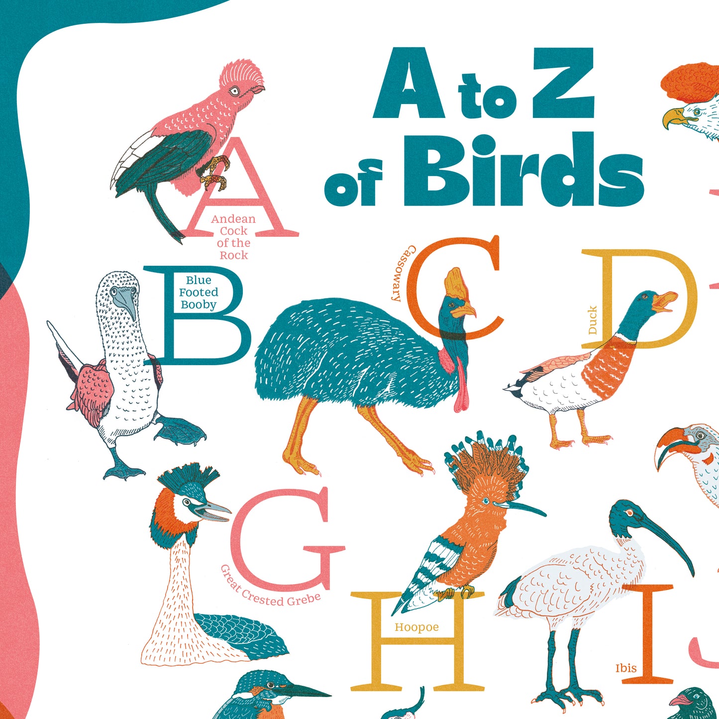 A-Z of Birds Illustrated Print - A2
