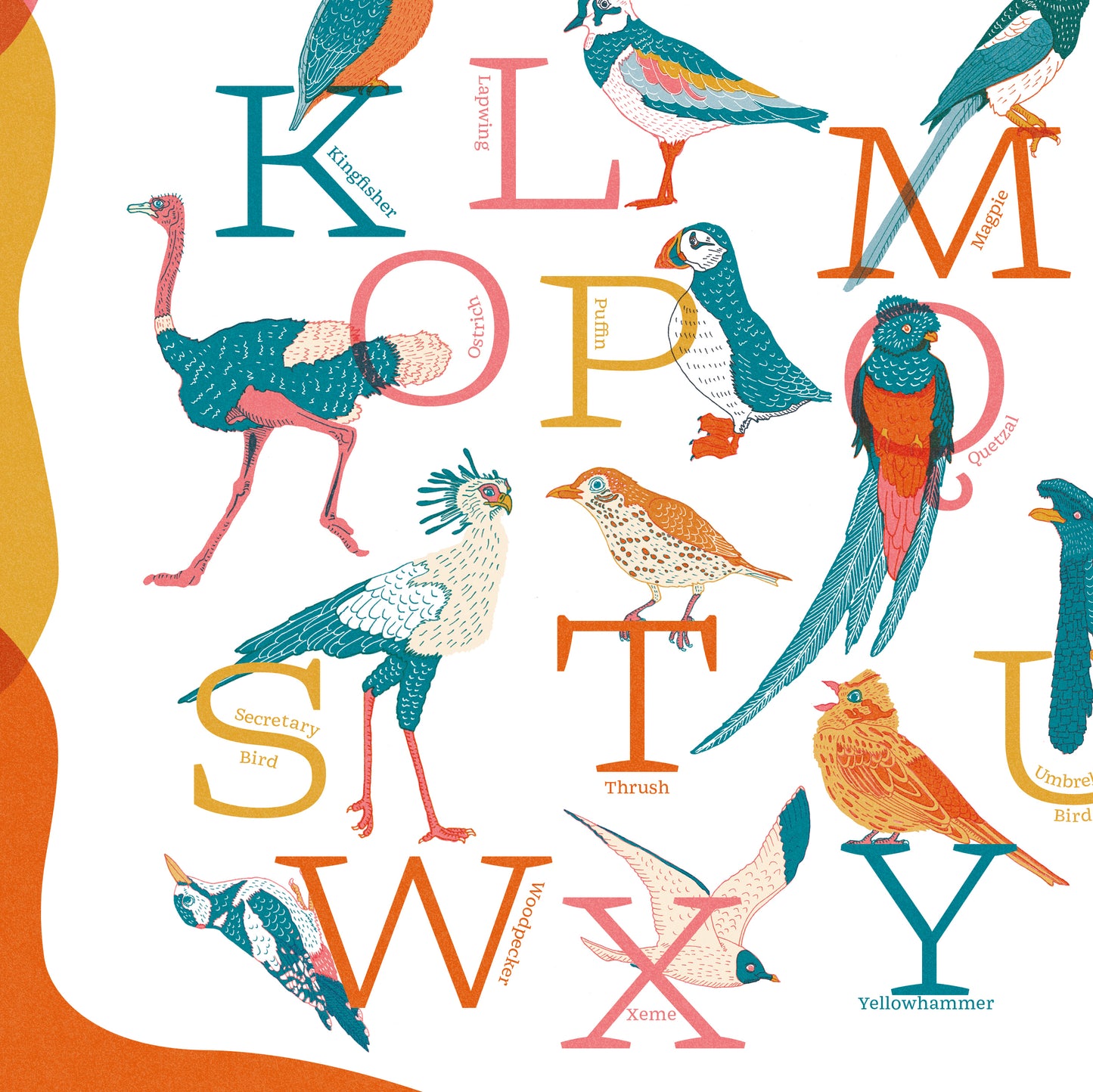 A-Z of Birds Illustrated Print - A2