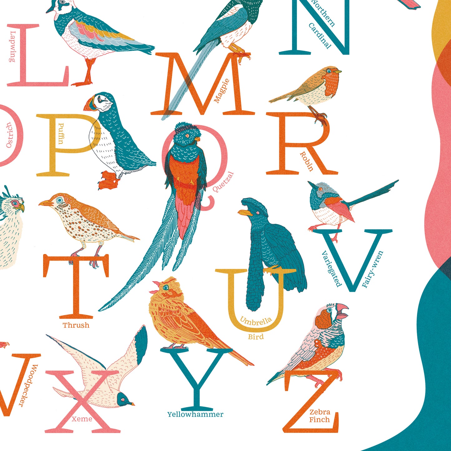 A-Z of Birds Illustrated Print - A2