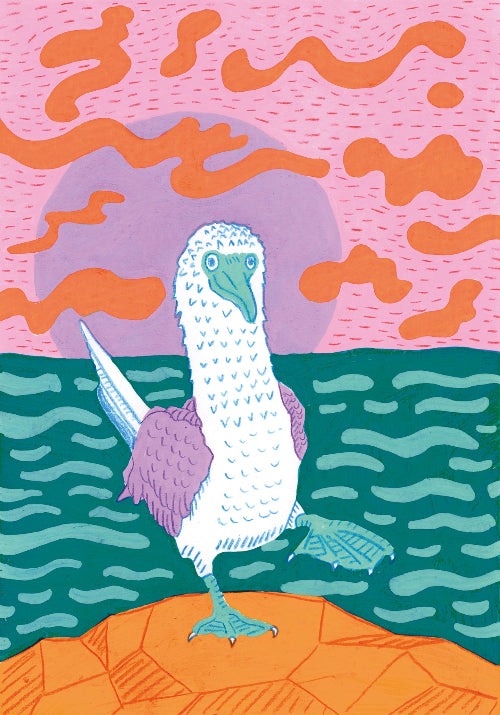 Illustration of a bird on a rock with a colorful background