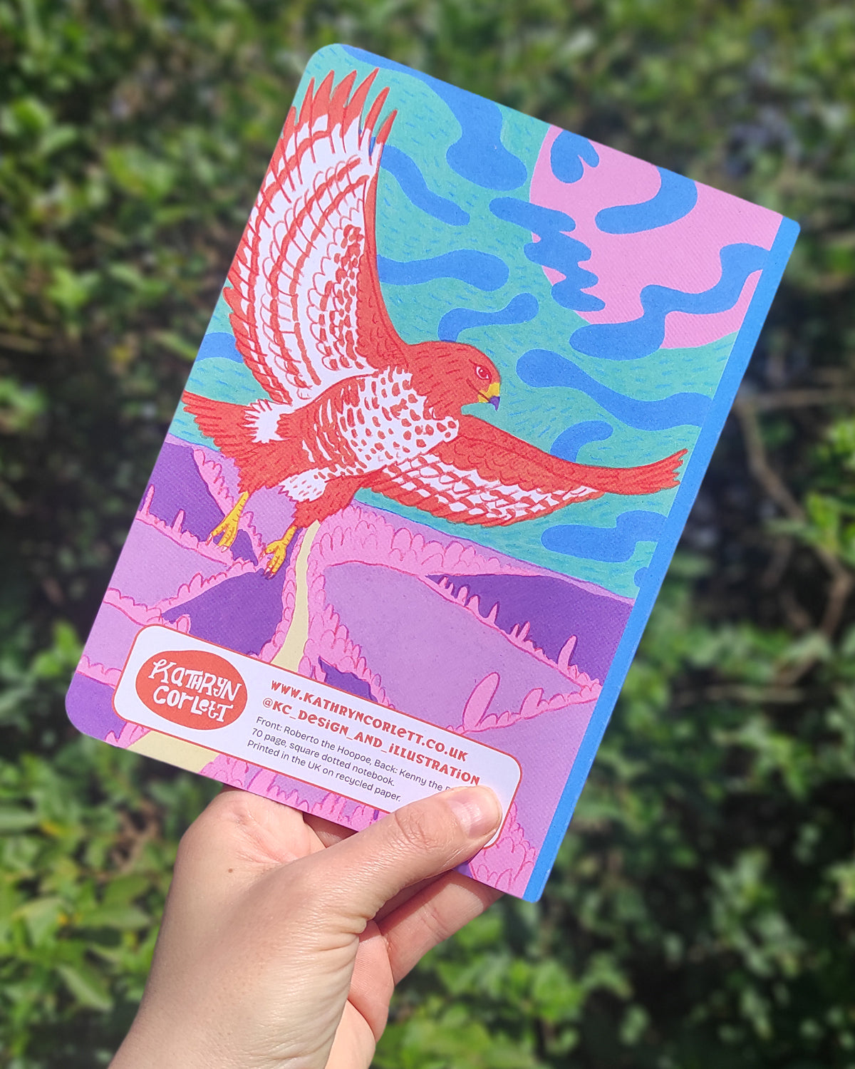 Roberto the Hoopoe Notebook - A5, 70 page, square dotted with rounded corners
