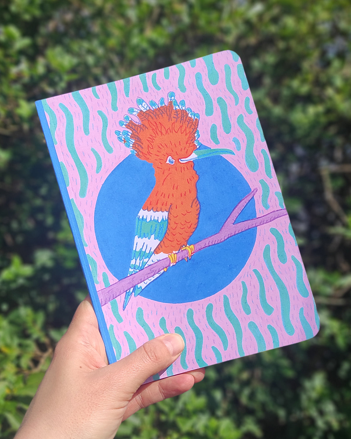Roberto the Hoopoe Notebook - A5, 70 page, square dotted with rounded corners