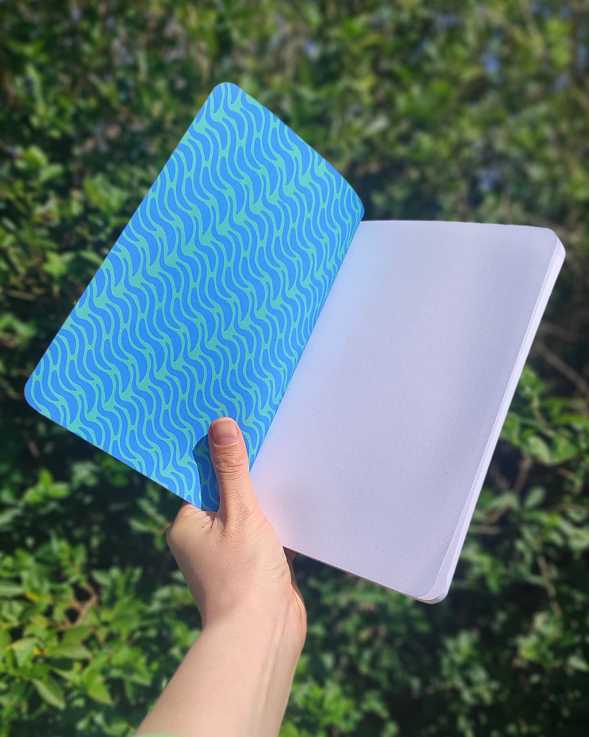 Roberto the Hoopoe Notebook - A5, 70 page, square dotted with rounded corners