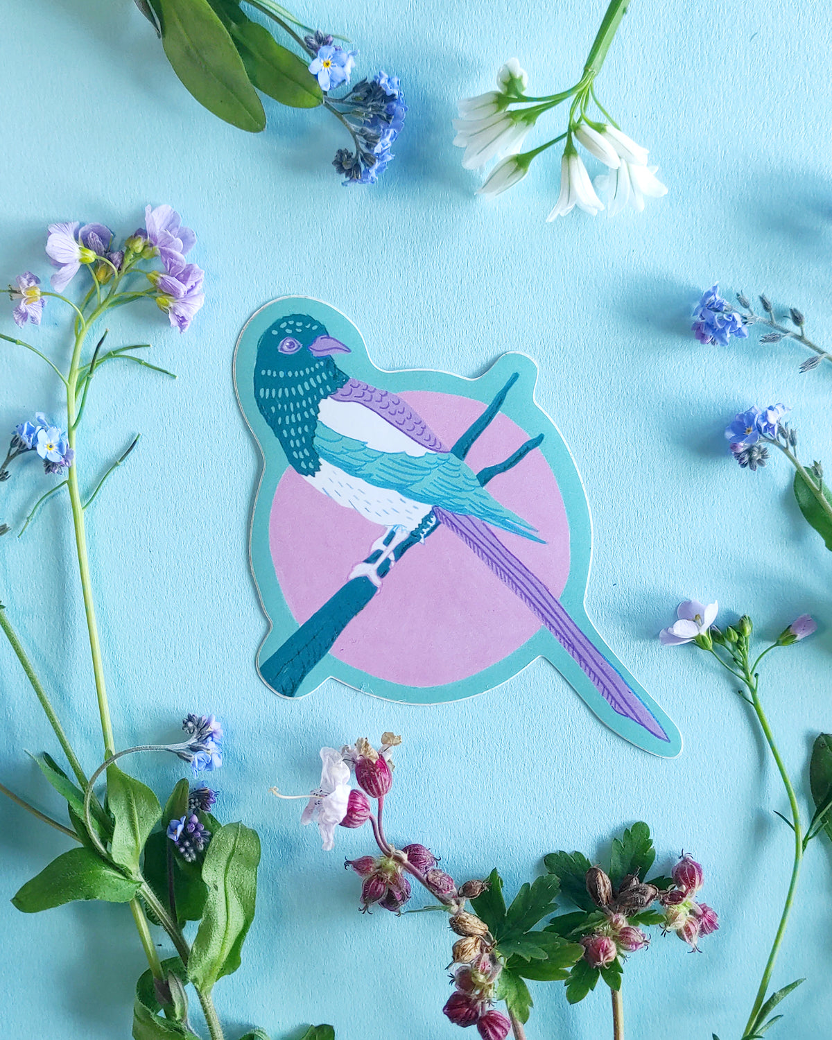 Colourful magpie sticker on a blue background wirh spring flowers