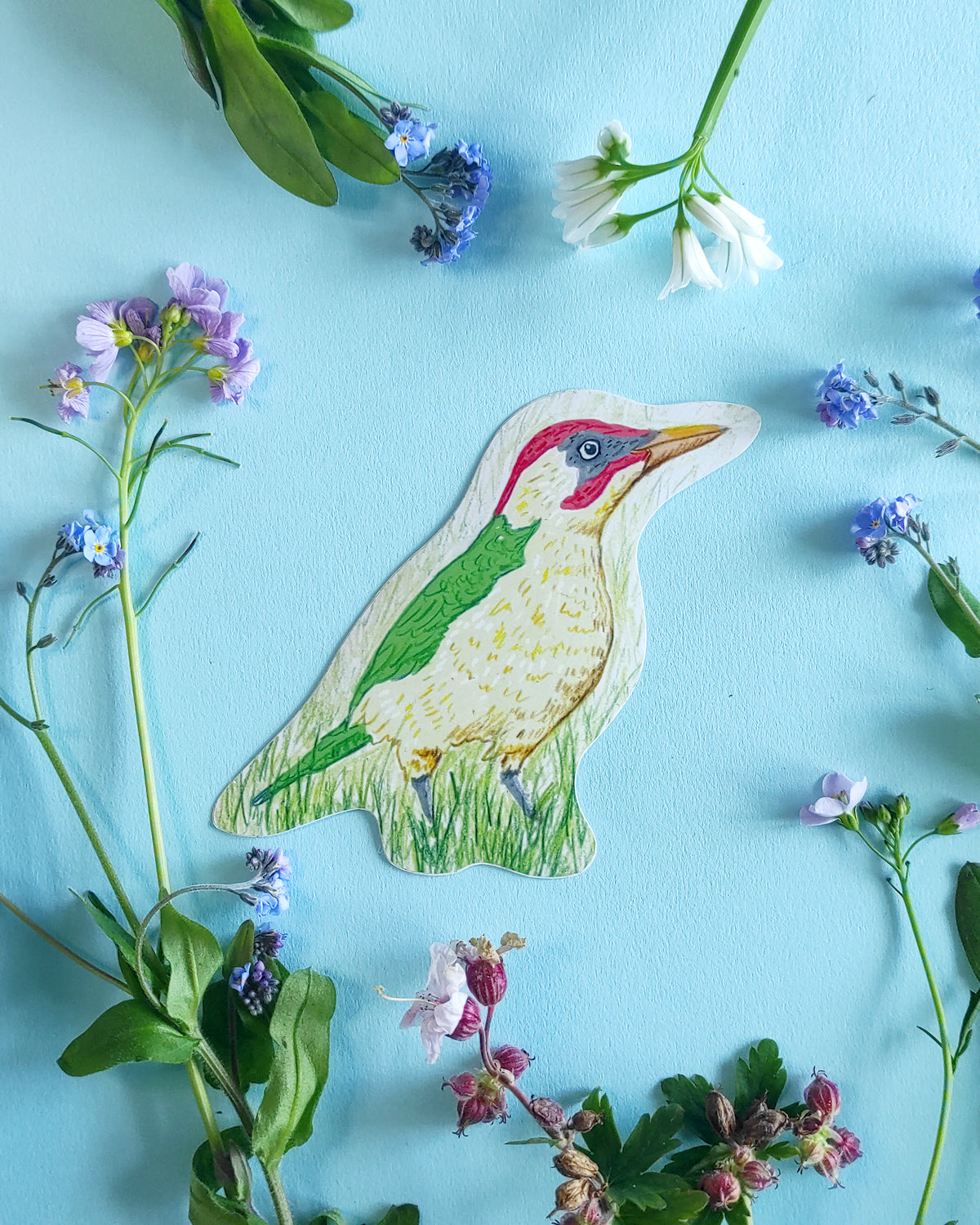 Decorative green woodpecker sticker surrounded by flowers on a blue background